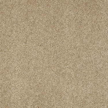 Pleasant Times Residential Carpet by Anderson Tuftex in the color Maple Granola. Sample of beiges carpet pattern and texture.