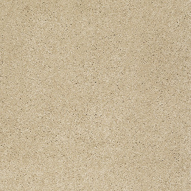 Pleasant Times Residential Carpet by Anderson Tuftex in the color Half Moon. Sample of golds carpet pattern and texture.