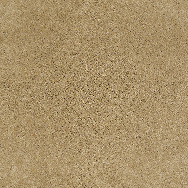 Pleasant Times Residential Carpet by Anderson Tuftex in the color Etched Gold. Sample of golds carpet pattern and texture.