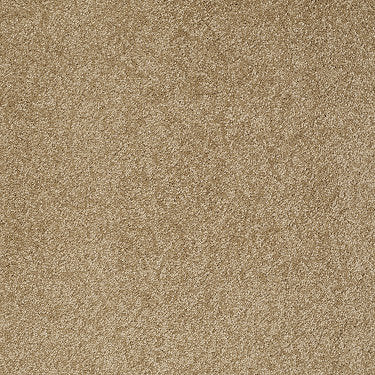 Pleasant Times Residential Carpet by Anderson Tuftex in the color Oak Plank. Sample of golds carpet pattern and texture.