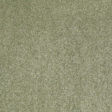 Pleasant Times Residential Carpet by Anderson Tuftex in the color Applemint. Sample of greens carpet pattern and texture.