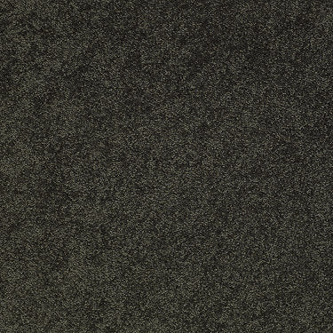 Pleasant Times Residential Carpet by Anderson Tuftex in the color Dill Weed. Sample of greens carpet pattern and texture.