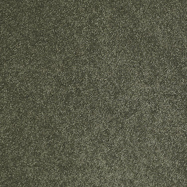 Pleasant Times Residential Carpet by Anderson Tuftex in the color Bay Leaf. Sample of greens carpet pattern and texture.