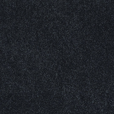 Pleasant Times Residential Carpet by Anderson Tuftex in the color Ultra Aqua. Sample of blues carpet pattern and texture.