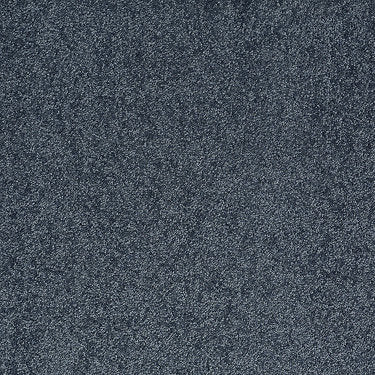 Pleasant Times Residential Carpet by Anderson Tuftex in the color Liberty. Sample of blues carpet pattern and texture.