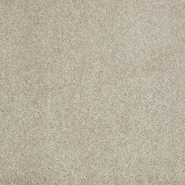 Pleasant Times Residential Carpet by Anderson Tuftex in the color Seagull. Sample of grays carpet pattern and texture.