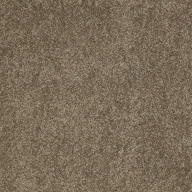 Pleasant Times Residential Carpet by Anderson Tuftex in the color Phoenix Fossil. Sample of grays carpet pattern and texture.