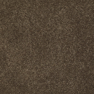 Pleasant Times Residential Carpet by Anderson Tuftex in the color Bell Tower. Sample of grays carpet pattern and texture.