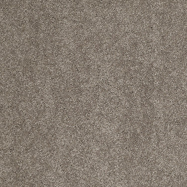 Pleasant Times Residential Carpet by Anderson Tuftex in the color Wild Mushroom. Sample of grays carpet pattern and texture.