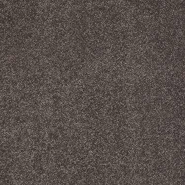 Pleasant Times Residential Carpet by Anderson Tuftex in the color Boulder. Sample of grays carpet pattern and texture.