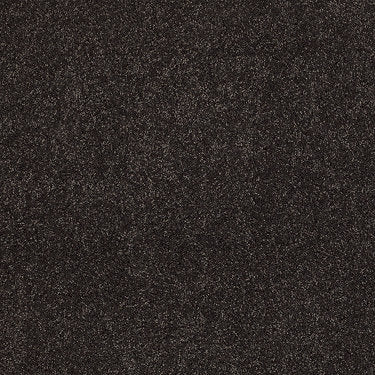 Pleasant Times Residential Carpet by Anderson Tuftex in the color Before Dark. Sample of grays carpet pattern and texture.