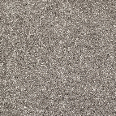 Pleasant Times Residential Carpet by Anderson Tuftex in the color Mineralite. Sample of grays carpet pattern and texture.