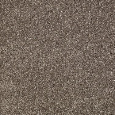 Pleasant Times Residential Carpet by Anderson Tuftex in the color Gunmetal. Sample of grays carpet pattern and texture.