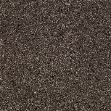 Pleasant Times Residential Carpet by Anderson Tuftex in the color Smoky Quartz. Sample of grays carpet pattern and texture.