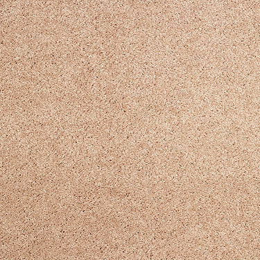 Pleasant Times Residential Carpet by Anderson Tuftex in the color Frozen Sorbet. Sample of oranges carpet pattern and texture.