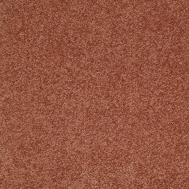Pleasant Times Residential Carpet by Anderson Tuftex in the color Carrot Cake. Sample of oranges carpet pattern and texture.
