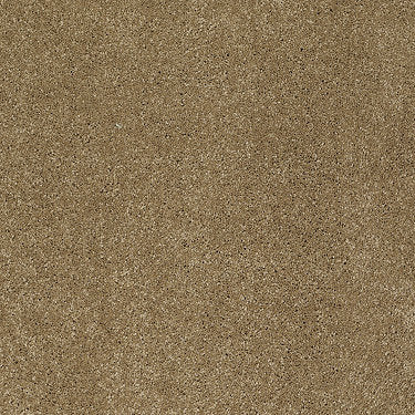 Pleasant Times Residential Carpet by Anderson Tuftex in the color Toast Tan. Sample of browns carpet pattern and texture.