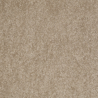 Pleasant Times Residential Carpet by Anderson Tuftex in the color Dusty Trail. Sample of browns carpet pattern and texture.
