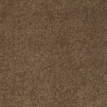 Pleasant Times Residential Carpet by Anderson Tuftex in the color Vintage Brown. Sample of browns carpet pattern and texture.