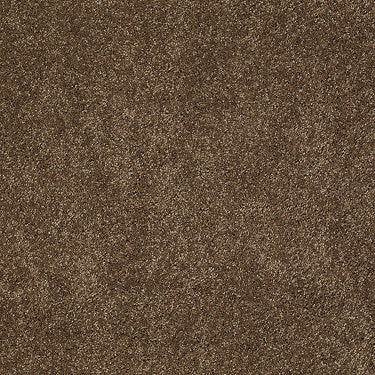 Pleasant Times Residential Carpet by Anderson Tuftex in the color Mocha Latte. Sample of browns carpet pattern and texture.