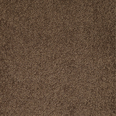 Pleasant Times Residential Carpet by Anderson Tuftex in the color Rocky Road. Sample of browns carpet pattern and texture.