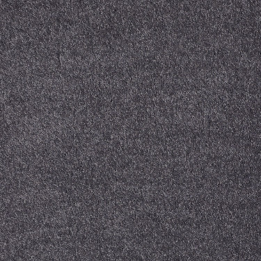 Pleasant Times Residential Carpet by Anderson Tuftex in the color Soulful Purple. Sample of violets carpet pattern and texture.