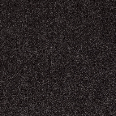 Pleasant Times Residential Carpet by Anderson Tuftex in the color Wild Plum. Sample of violets carpet pattern and texture.