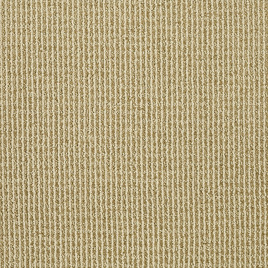 Baywood Ave. Residential Carpet by Anderson Tuftex in the color Banana Whip. Sample of beiges carpet pattern and texture.