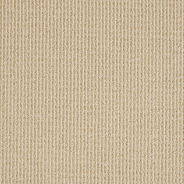 Baywood Ave. Residential Carpet by Anderson Tuftex in the color Blush Beige. Sample of beiges carpet pattern and texture.