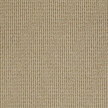 Baywood Ave. Residential Carpet by Anderson Tuftex in the color Beach Party. Sample of beiges carpet pattern and texture.