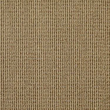 Baywood Ave. Residential Carpet by Anderson Tuftex in the color Gold Ambition. Sample of golds carpet pattern and texture.