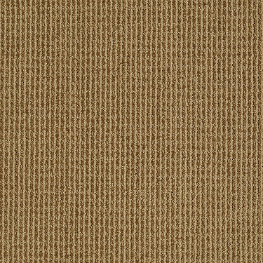 Baywood Ave. Residential Carpet by Anderson Tuftex in the color Forever Amber. Sample of golds carpet pattern and texture.