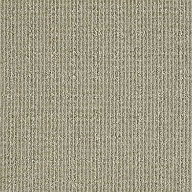 Baywood Ave. Residential Carpet by Anderson Tuftex in the color Earl Gray. Sample of grays carpet pattern and texture.