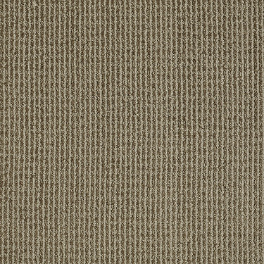 Baywood Ave. Residential Carpet by Anderson Tuftex in the color Himalayan Mist. Sample of grays carpet pattern and texture.