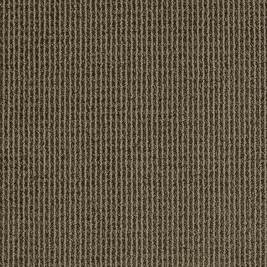 Baywood Ave. Residential Carpet by Anderson Tuftex in the color Urbana. Sample of grays carpet pattern and texture.