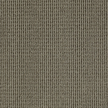 Baywood Ave. Residential Carpet by Anderson Tuftex in the color Library Pewter. Sample of grays carpet pattern and texture.