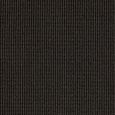 Baywood Ave. Residential Carpet by Anderson Tuftex in the color Jaguar. Sample of grays carpet pattern and texture.