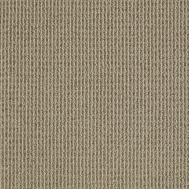 Baywood Ave. Residential Carpet by Anderson Tuftex in the color Neutral Taupe. Sample of grays carpet pattern and texture.