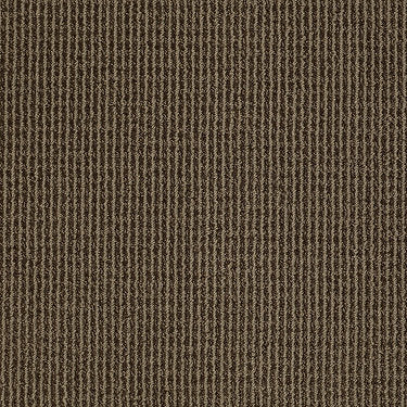Baywood Ave. Residential Carpet by Anderson Tuftex in the color Earthy. Sample of grays carpet pattern and texture.
