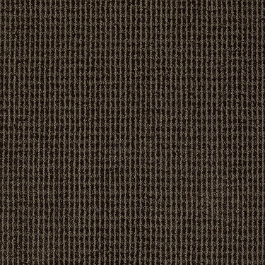 Baywood Ave. Residential Carpet by Anderson Tuftex in the color Dark Tavern. Sample of grays carpet pattern and texture.