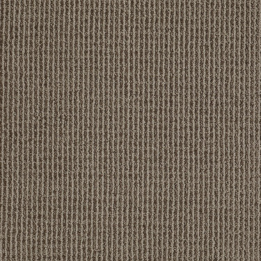 Baywood Ave. Residential Carpet by Anderson Tuftex in the color Rocky Gray. Sample of grays carpet pattern and texture.