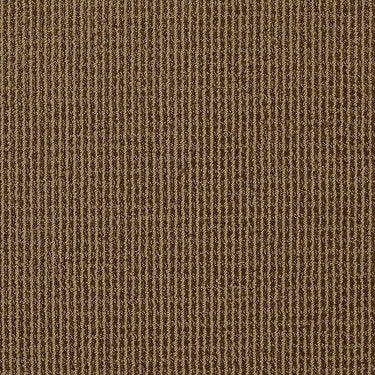 Baywood Ave. Residential Carpet by Anderson Tuftex in the color Tiger. Sample of oranges carpet pattern and texture.