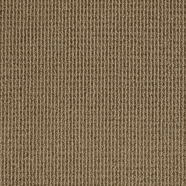 Baywood Ave. Residential Carpet by Anderson Tuftex in the color Apple Butter. Sample of browns carpet pattern and texture.