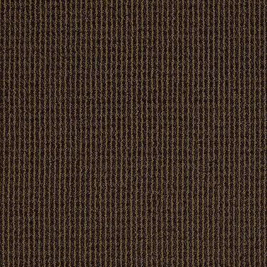 Baywood Ave. Residential Carpet by Anderson Tuftex in the color Cocoa Pecan. Sample of browns carpet pattern and texture.