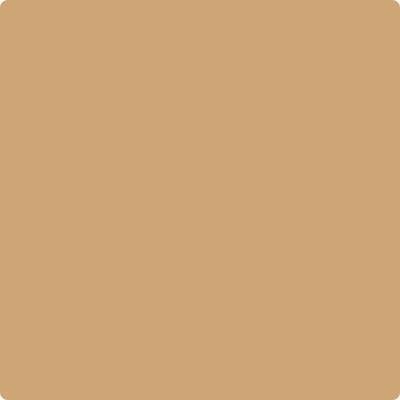 Benjamin Moore Color CC-274 Ginger Root