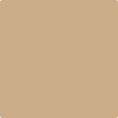 CC-304 Sisal