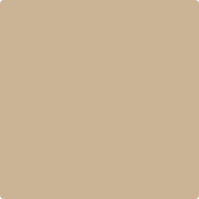 Benjamin Moore Color CC-338 Bluffs
