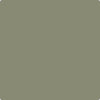 Benjamin Moore Color CC-722 Vine Land