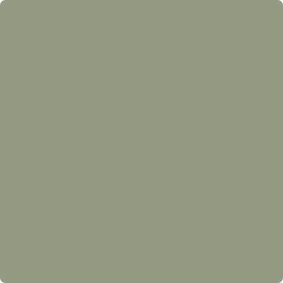 Benjamin Moore Color CC-724 Home Stead