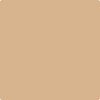 Benjamin Moore Colour CSP-1065 Natural Leather